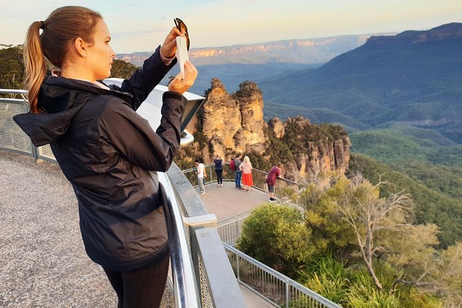 Late Start Blue Mountains Nature, Waterfalls, Koalas Small Group - Calmsley Hill City Farm: koalas, kangaroos, and wallabies