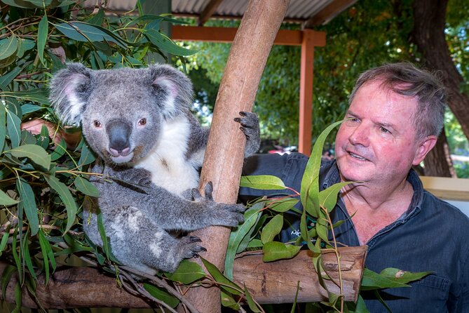 Late Start Blue Mountains Nature, Waterfalls, Koalas Small Group - Wentworth Falls: the active heart of the day