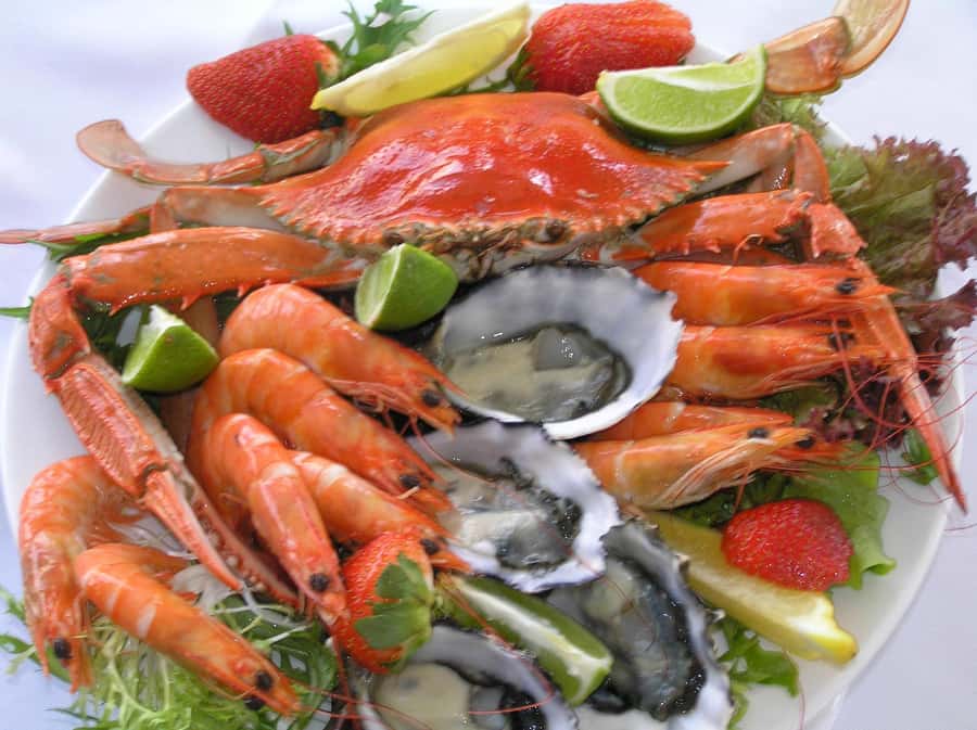 Lunch Cruise with Live Jazz on Sydney Harbour - A Sydney Harbour lunch with music at the center