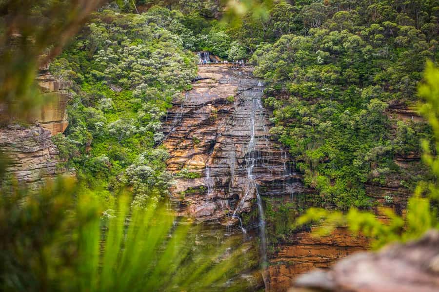 Luxury Blue Mountains Escape The Crowds Tour - Walking tracks where the noise drops away