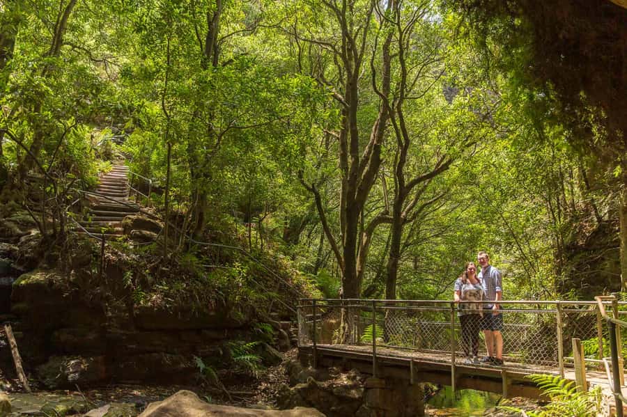 Luxury Blue Mountains Escape The Crowds Tour - Featherdale depends on the booking you choose