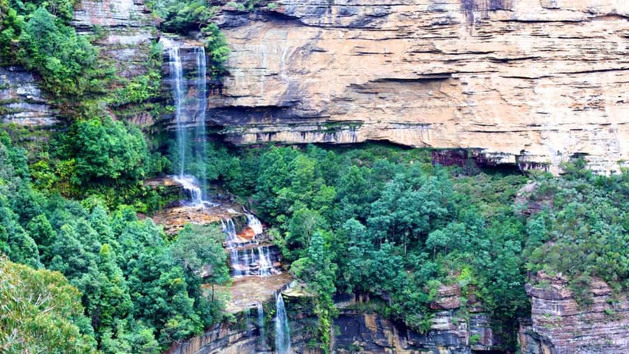 Luxury Blue Mountains Escape The Crowds Tour - Coffee first, then higher country