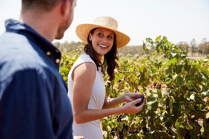 Luxury Hunter Valley Tour: 3 Tastings, Gin, Lunch & Chocolatier - Why this six-hour Hunter Valley tour works