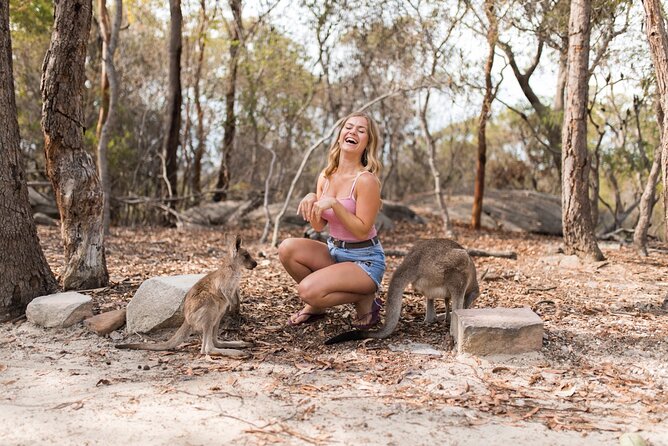 Luxury Hunter Valley Wildlife & Wine Tasting Tour from Sydney - The real price and what you receive