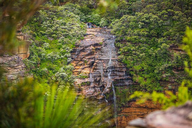 Luxury Small Group of 5 Blue Mountains Escape Tour - Featherdale Wildlife Park starts the day with Australian animals