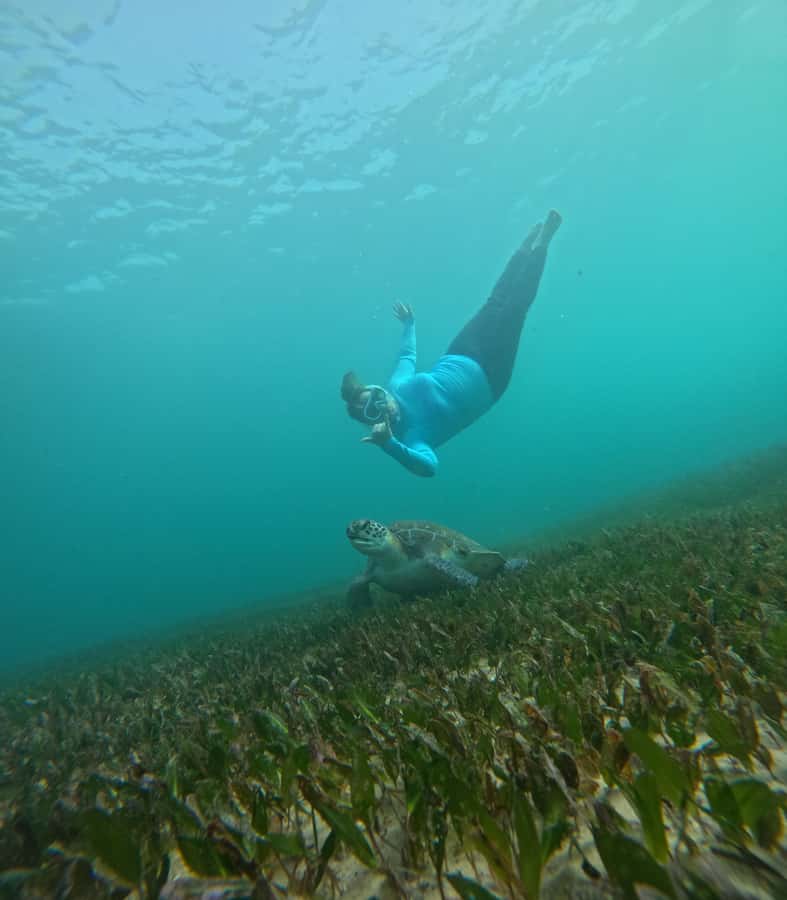 Manly Beach Guided Snorkeling Tours - How beginner-friendly is it for non-swimmers?