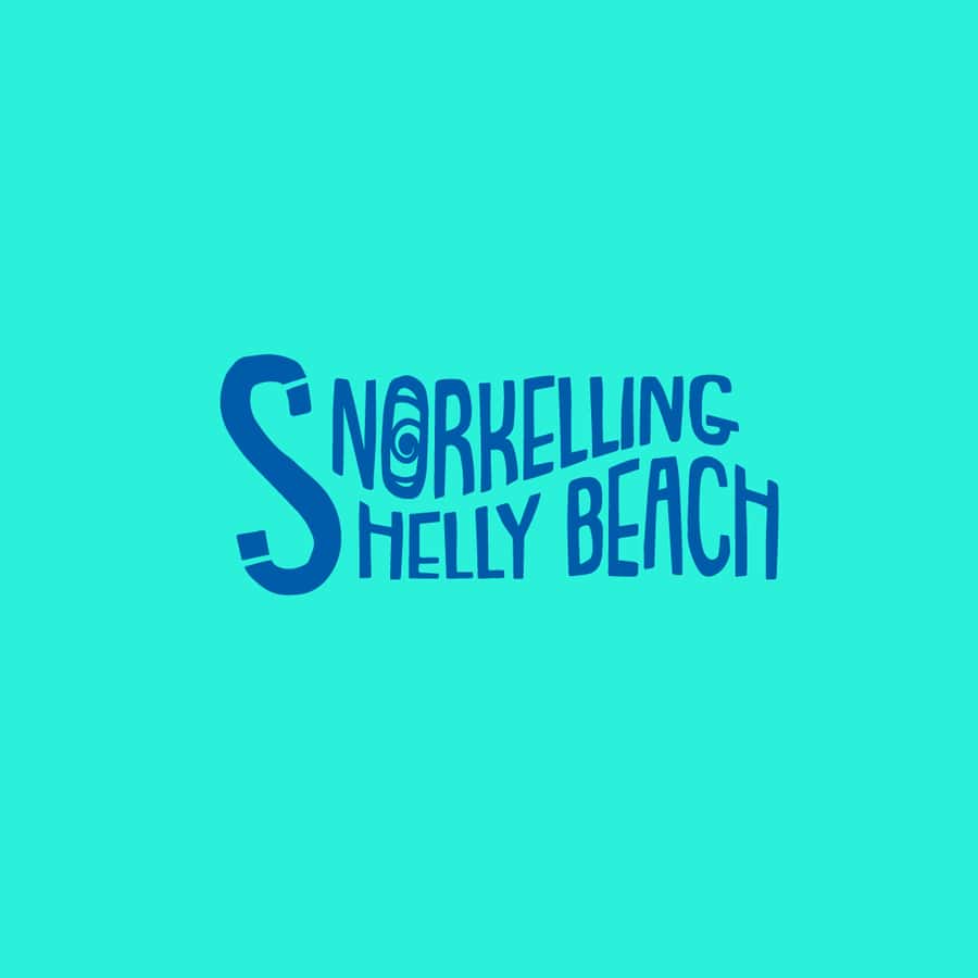 Manly Beach Guided Snorkeling Tours - What happens during the one-hour session