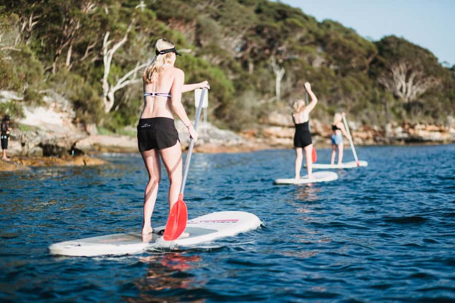 Manly Stand Up Paddle Board Hire - Why the soft boards matter for beginners
