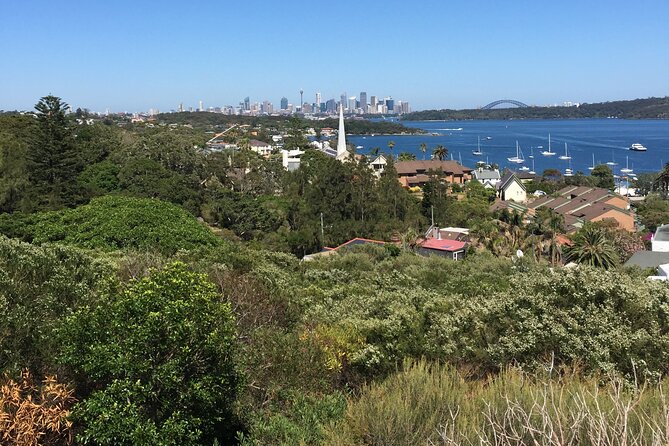 Morning or Afternoon Half-Day Sydney City Sightseeing Tour - What the small-group vehicle adds