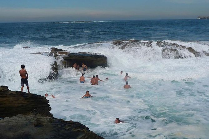 Morning or Afternoon Highlights Tour in Sydney with a Local Guide - Why this tour works for a first look at Sydney