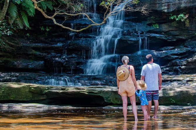Nature and Wildlife: Australia in One Day - Private Tour - Wamberal and Avoca beaches