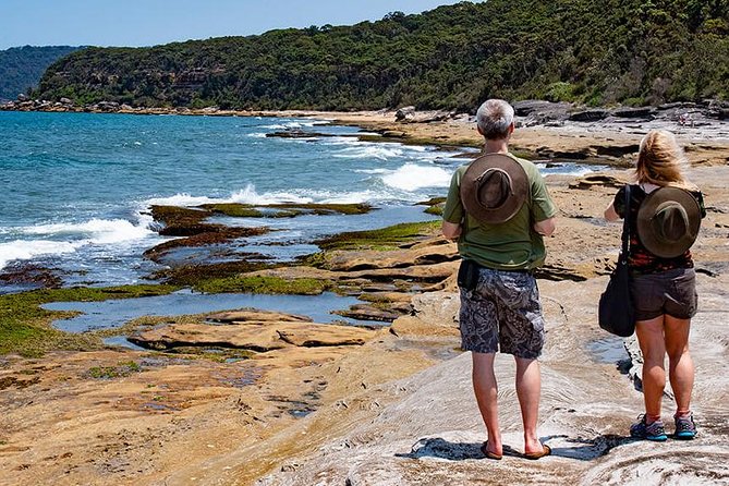 Nature and Wildlife: Australia in One Day - Private Tour - Hawkesbury River, oysters, and Mount White