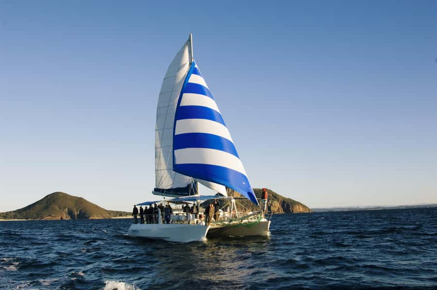 Nelson Bay: Dolphin Watch Cruise and Sail - Starting at d’Albora Marina Nelson Bay