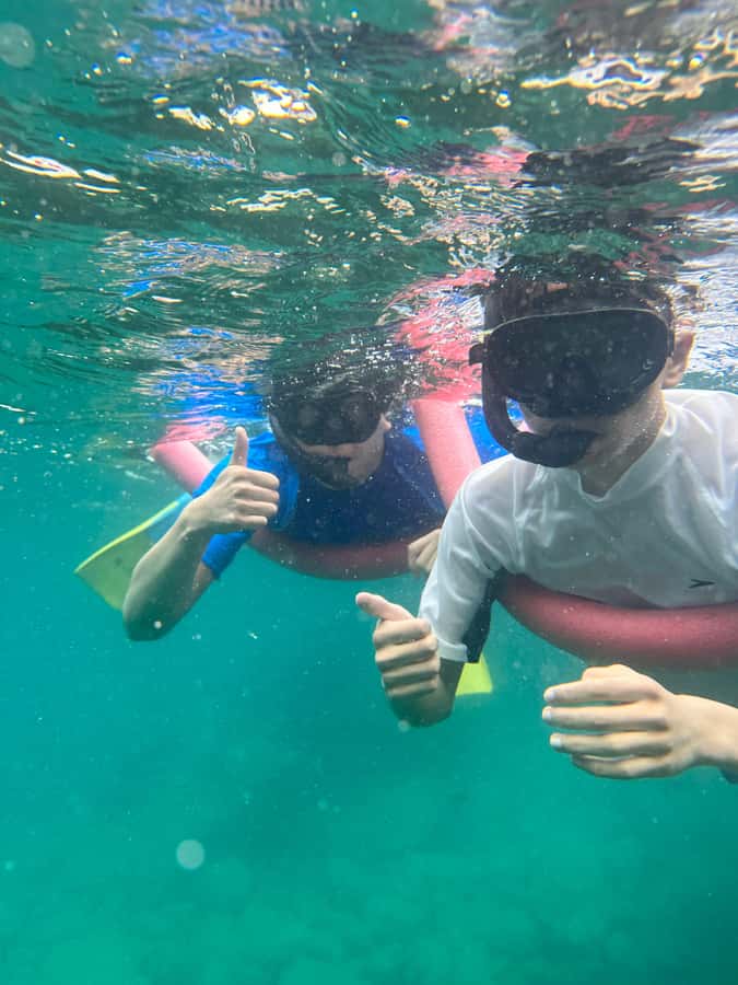 Nelson Bay: Marine Discovery Cruise with Snorkeling - Key points to know before you book