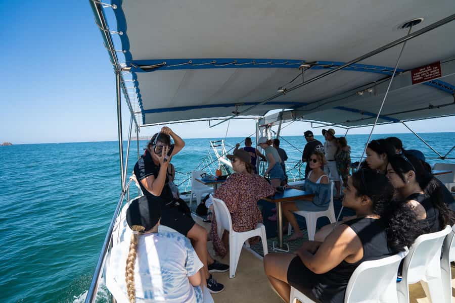 Nelson Bay: Marine Discovery Cruise with Snorkeling - Snorkeling near Cabbage Tree or Fingal Island