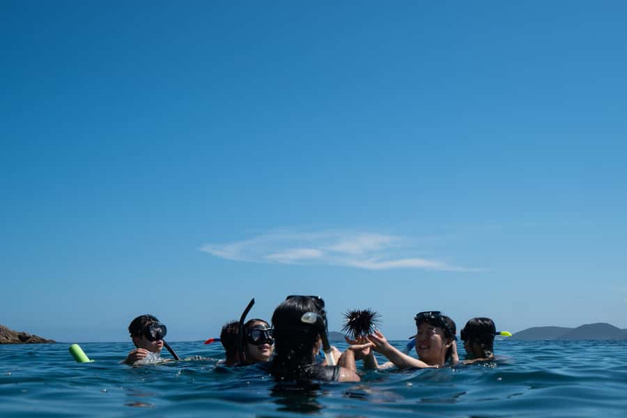 Nelson Bay: Marine Discovery Cruise with Snorkeling - The bow-net, boom-net, and family appeal