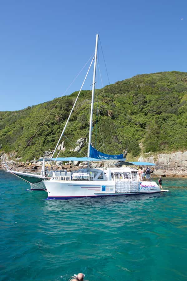 Nelson Bay: Marine Discovery Cruise with Snorkeling - Cruising Port Stephens and watching for dolphins