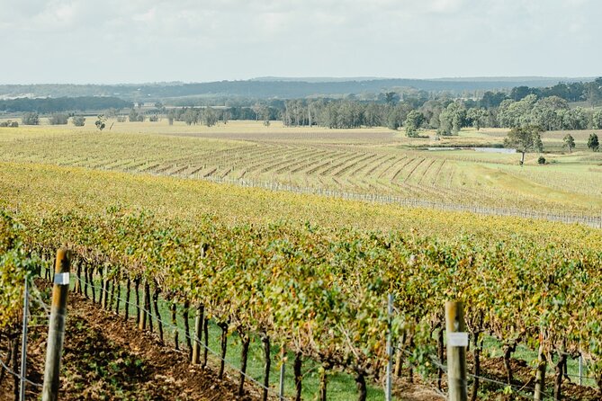 Newcastle: Boutique Hunter Valley Wine Tour - Bonvilla Estate adds a smaller producer