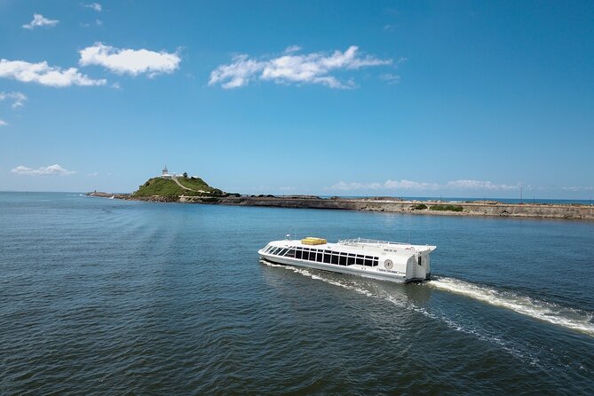 Newcastle Harbour Luncheon Cruise - Key points at a glance
