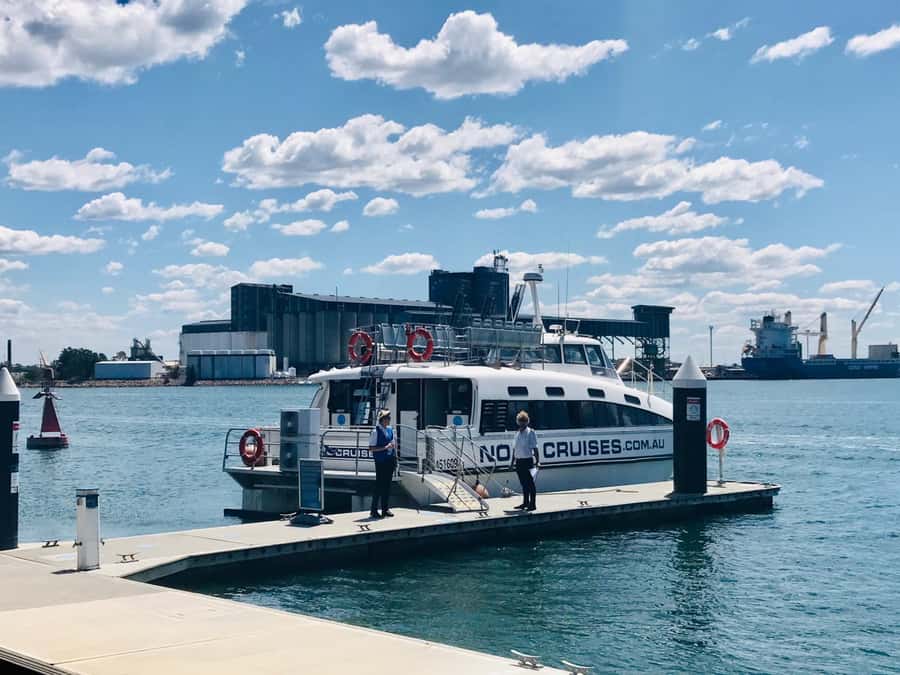 Newcastle: Humpback Whale Watching Cruise and Harbor Tour - Should you book the NOVA Cruises whale tour?