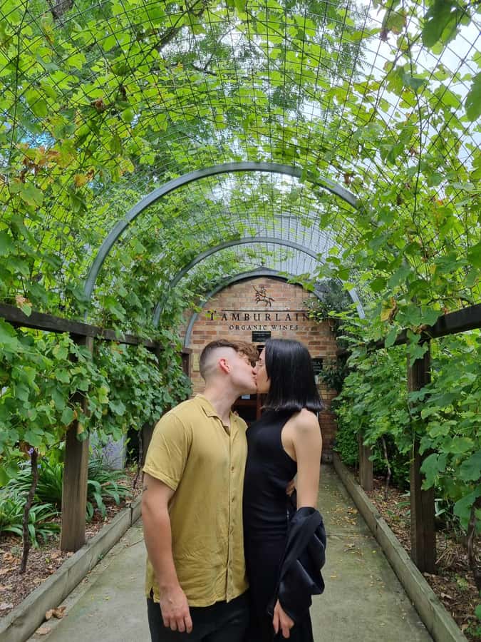 Newcastle: Hunter Valley Wine, Gin, Cheese & Chocolate Tour - Key points at a glance