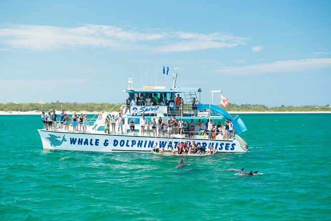 Newcastle: Port Stephens day tour - Dolphins, hike & swim! - Key points to know before booking