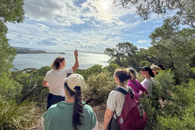 Newcastle: Port Stephens day tour - Dolphins, hike & swim! - Who will enjoy this Port Stephens day tour