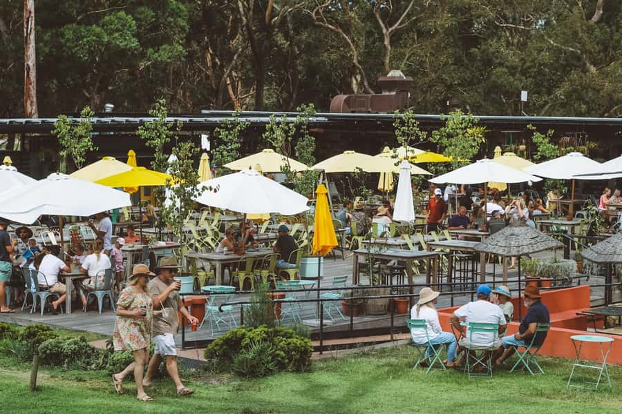 Newcastle: Port Stephens day tour. Dolphins, hike, swim. - Who will enjoy this Port Stephens day trip?