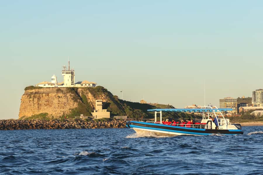 Newcastle: Small Group Humpback Whale Encounter Tour - Is $88 a fair price?