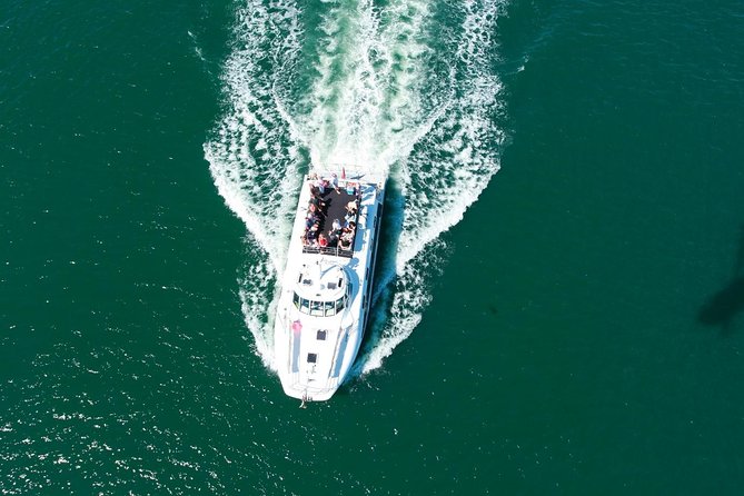 Newcastle Whale Watching Cruise - Starting at Honeysuckle Marina