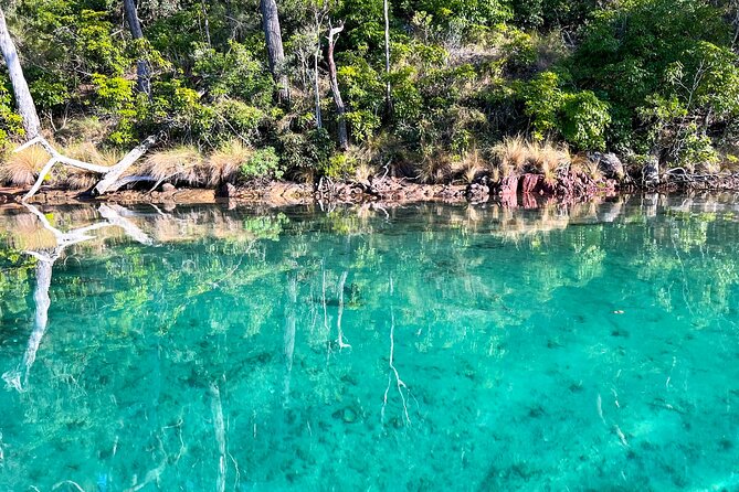 Pambula River Kayaking Tour - Why the guide matters for beginners