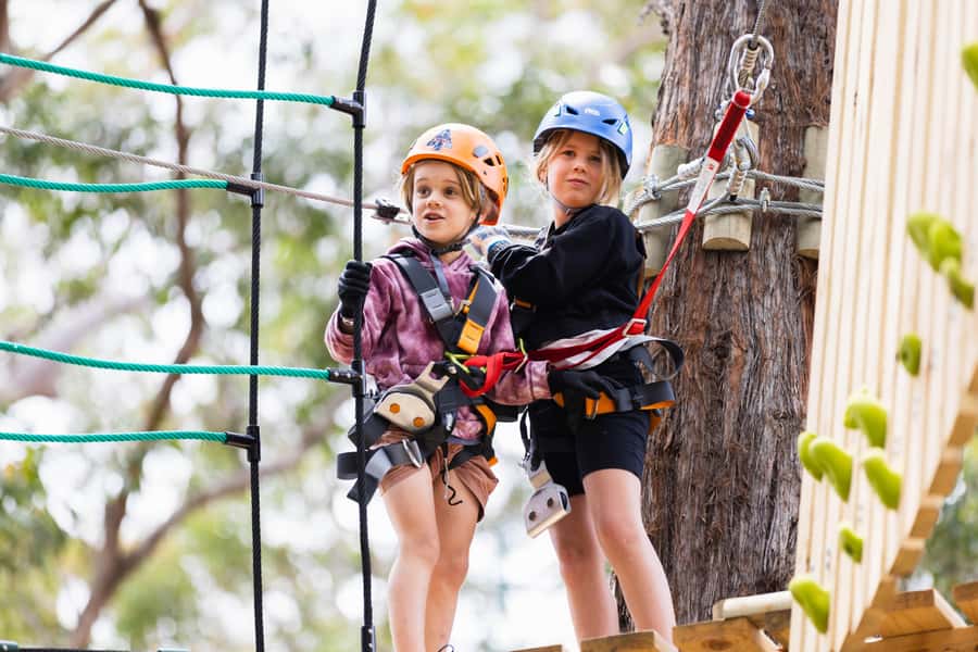 Pennant Hills: Junior Tree Ropes Course - How the five junior courses work