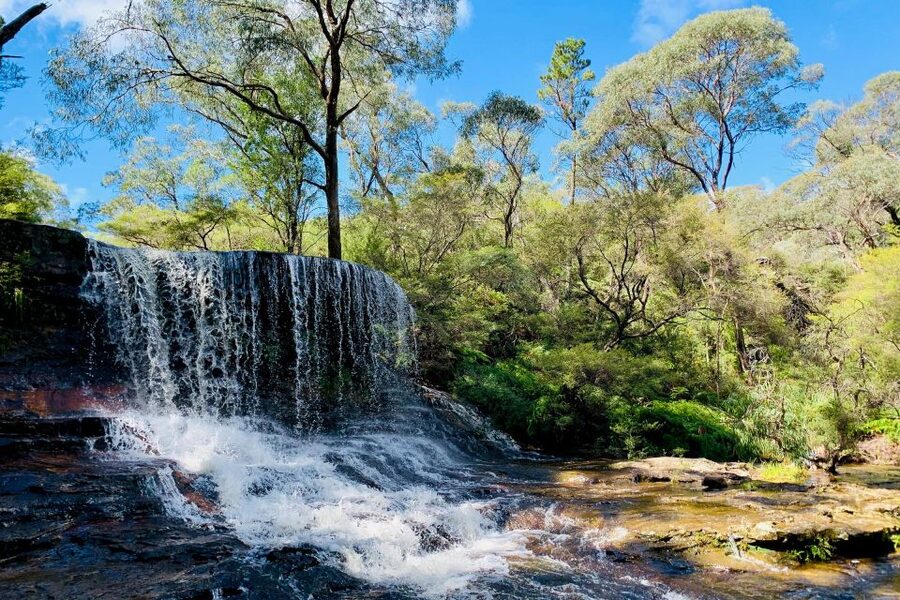 Personalised Blue Mountains Tour: Luxury Vehicles & Insights - Featherdale Wildlife Park and Australian animals