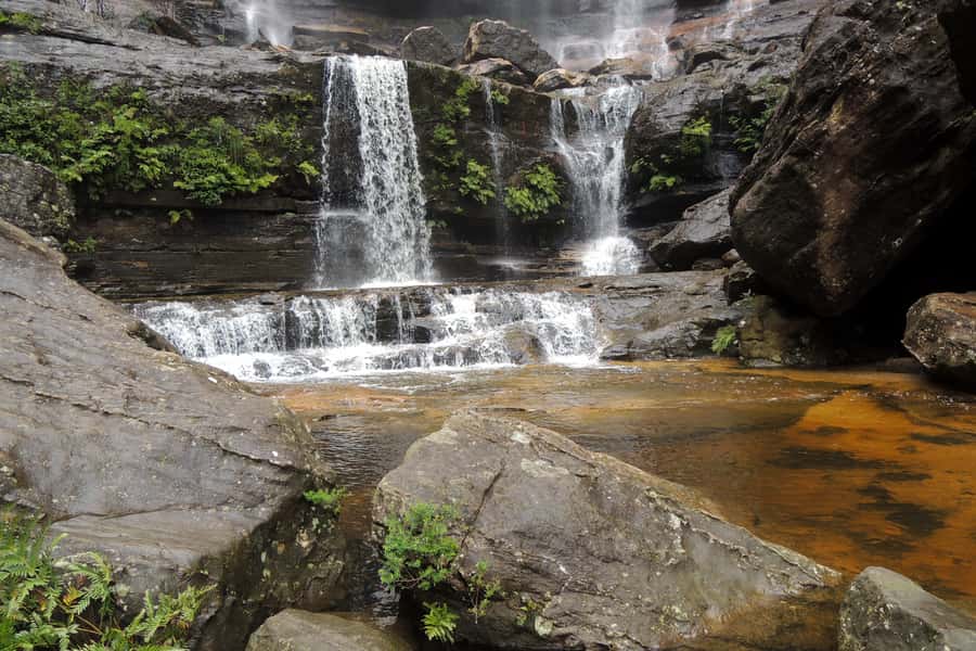 Personalised Blue Mountains Tour: Luxury Vehicles & Insights - Guides who can change the feel of the day