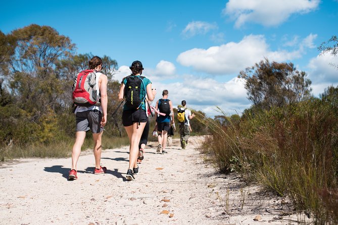 Pittwater Discovery Kayaking Tour - What the $89.66 price gets you