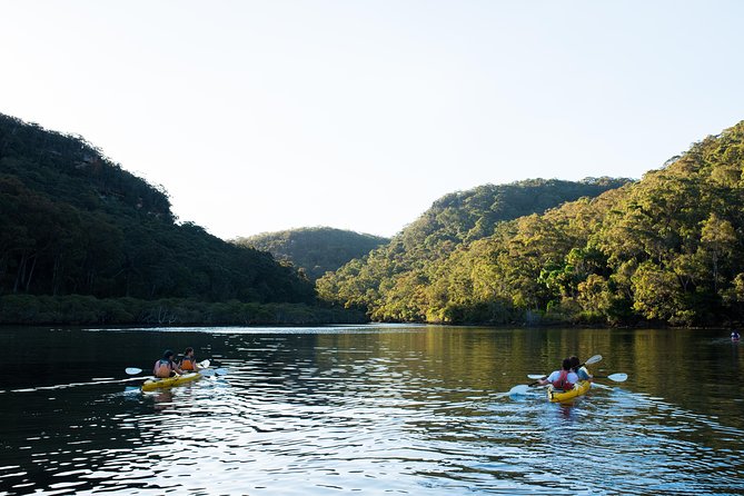 Pittwater Discovery Kayaking Tour - Starting at Bayview with a proper equipment briefing