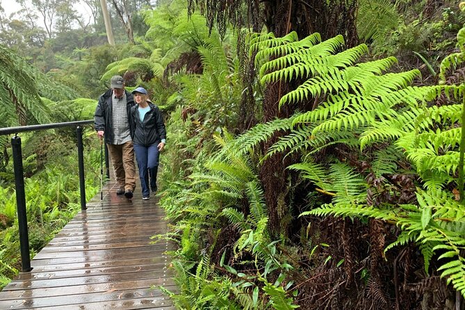 PJ Blue Mountains Supreme [Private Charter] - Two hours at Scenic World