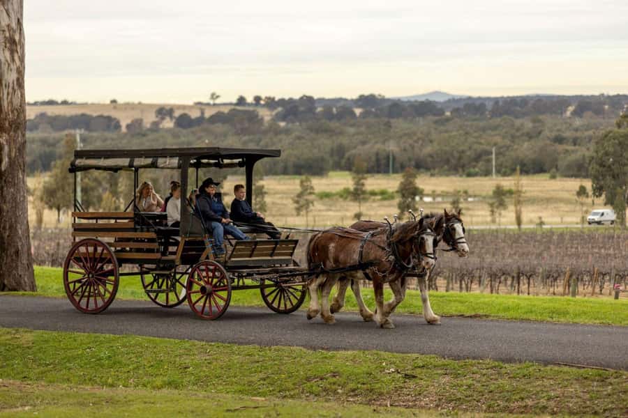 Pokolbin: Harvest the Hunter Horse Drawn Carriage Tour 3hrs - A slower way to see Pokolbin