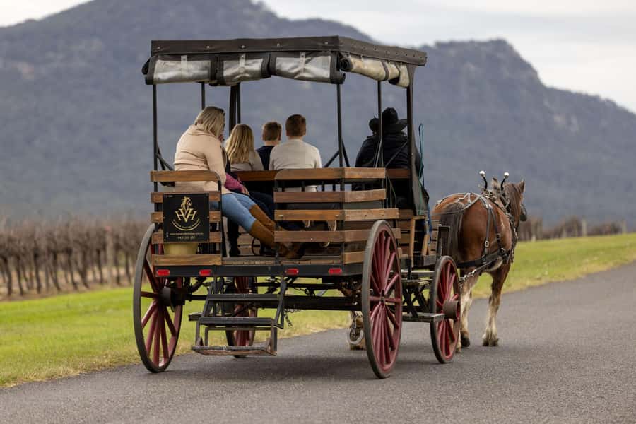 Pokolbin: Harvest the Hunter Horse Drawn Carriage Tour 3hrs - First carriage stretch: vineyard roads and local views