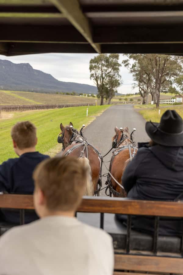 Pokolbin: Harvest the Hunter Horse Drawn Carriage Tour 3hrs - Meeting the horses at Wine House Hunter Valley