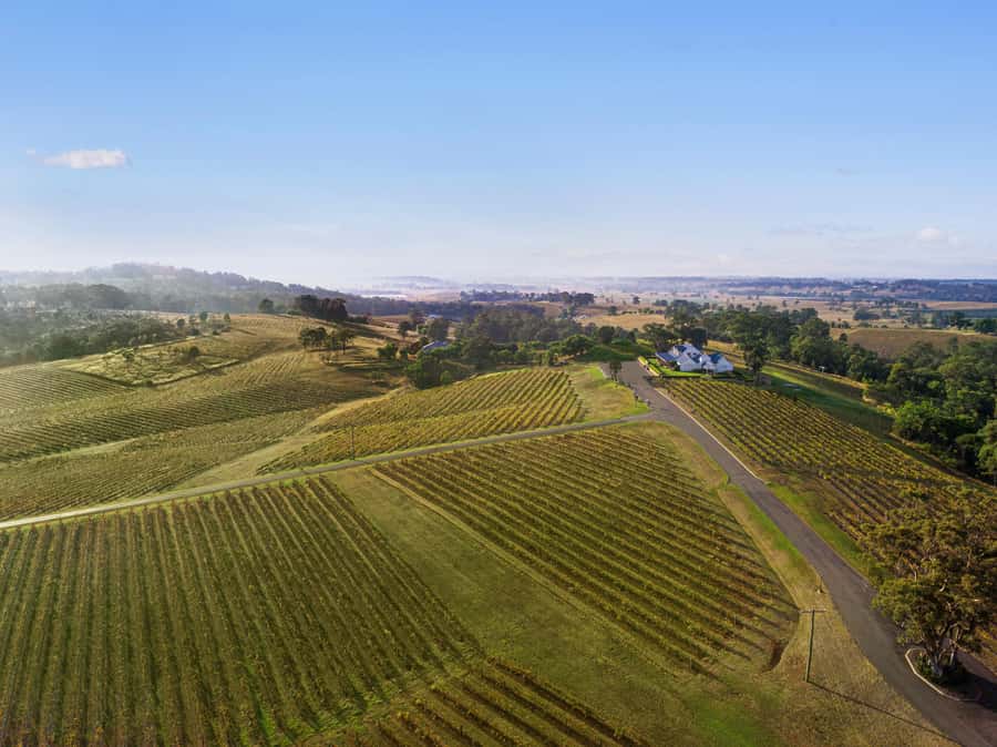 Pokolbin: Picnic & Wine Tasting at Audrey Wilkinson Vineyard - Key points to know before booking