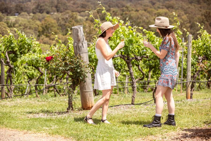 Pokolbin: Picnic & Wine Tasting at Audrey Wilkinson Vineyard - What the 90-minute schedule means for you
