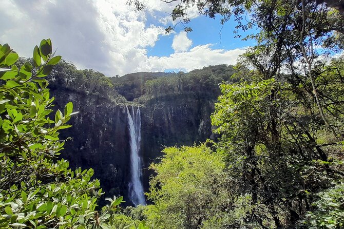 Port Macquarie day tour to Ellenborough Falls & Comboyne Rock - Key points to know before you book