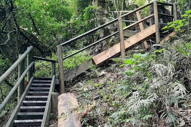 Port Macquarie day tour to Ellenborough Falls & Comboyne Rock - Why this hinterland day is worth your time