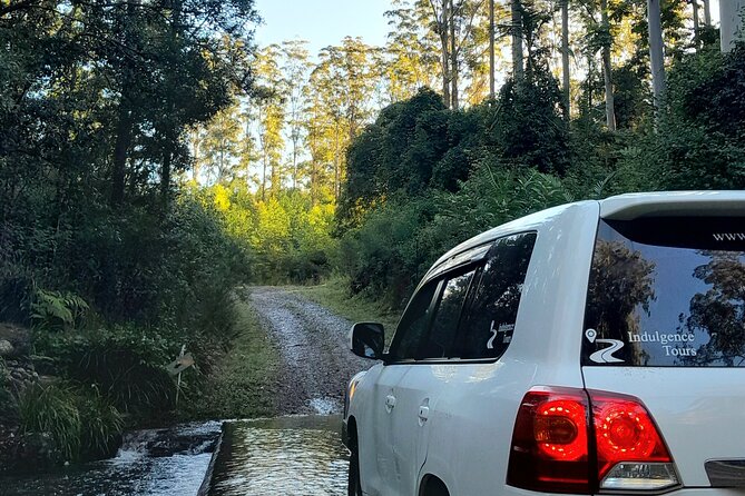 Port Macquarie day tour to Ellenborough Falls & Comboyne Rock - Lunch in Comboyne, with time to reset