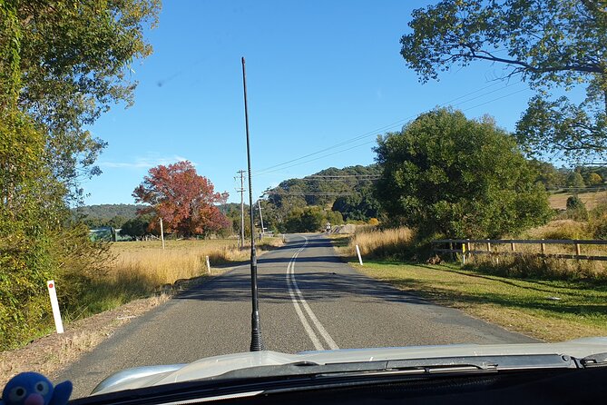 Port Macquarie Day Tour to Water Falls and Lookouts - Why this day works for Port Macquarie
