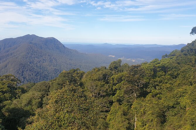 Port Macquarie Day Tour to Water Falls and Lookouts - Bellingen’s Old Butter Factory and craft shops
