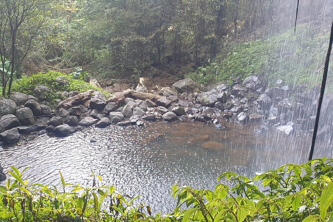 Port Macquarie Day Tour to Water Falls and Lookouts - What private touring changes