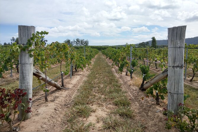 Port Macquarie Wine and Beer, Hastings Tasting Trail Tour - Lunch is the main extra cost to plan