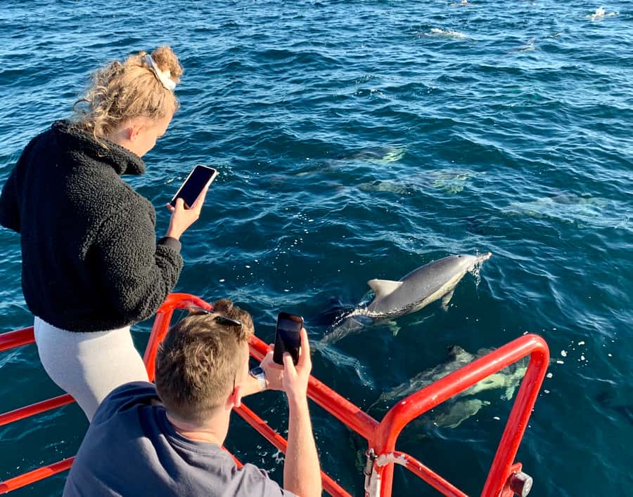 Port Stephens: 1hr Dolphin Watch Express - The first views across Shoal Bay